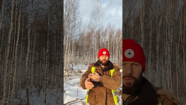 Бывалые таёжники