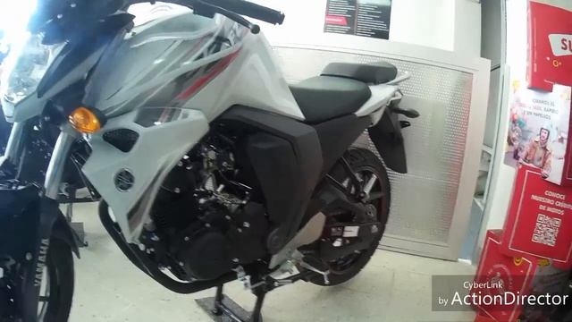 YAMAHA FZ-S 150 c c ...una de las mejores de baja cilindrada.