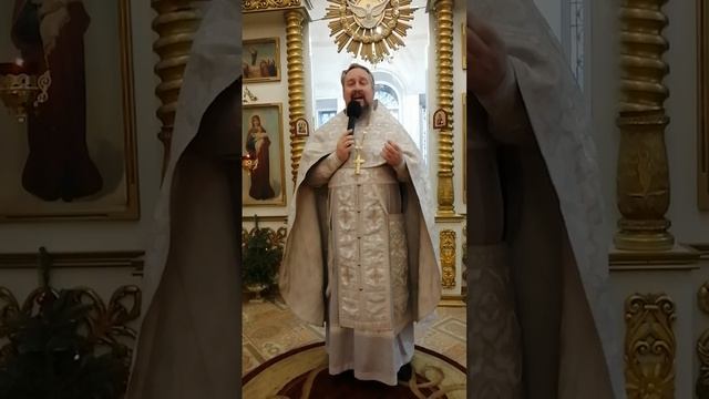 Воскресная проповедь, 26 января 2025