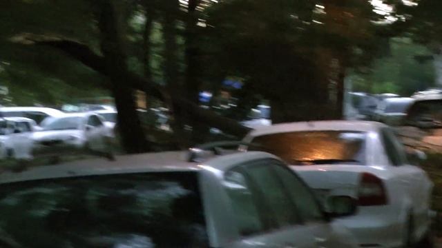 Гроза и буря в Красноярске