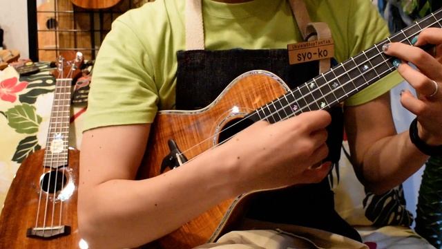 NEW/Big Island KX-CTG DELUXE CONCERT @ukuleleshptantan