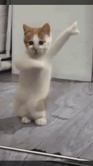 мем