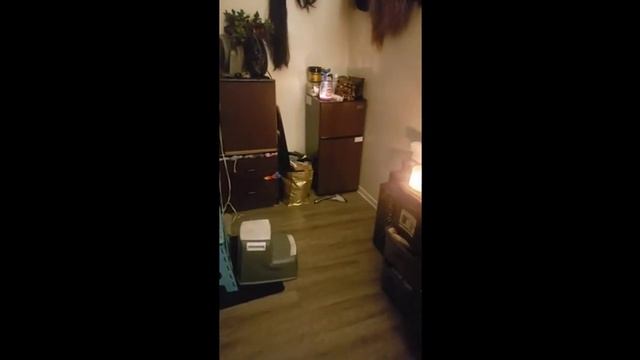 Review KRIB BLING 3.5 Cu.Ft Compact Refrigerator Mini Fridge with Freezer,7 Level Adjustable Thermo