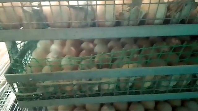 Первая закладка в этом 2025 году