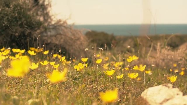 Как отличить привязанных к миру? - Они верят, что их обидели...