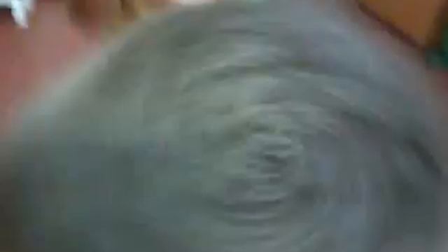 Снорк морковный