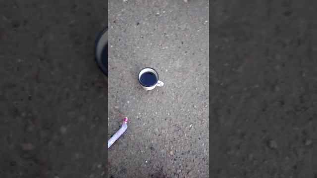 Эксперимент с колой и ментосом