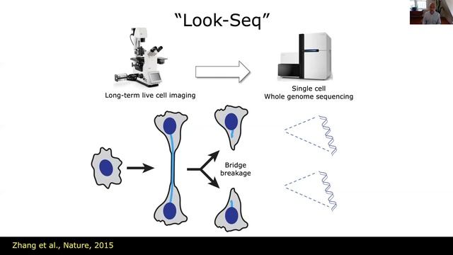 Mechanisms driving the rapid evolution of cancer genomes