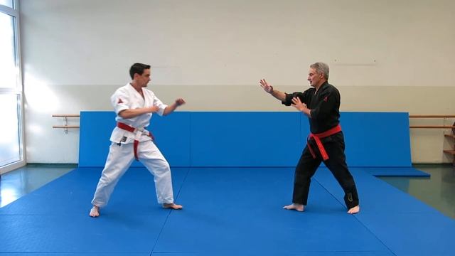 Goshindo Pascal Stoupy 2018 - Technique 1