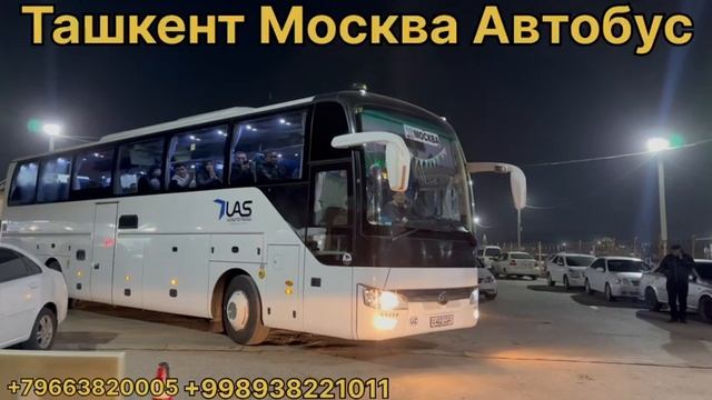 Ташкент масква Автобус