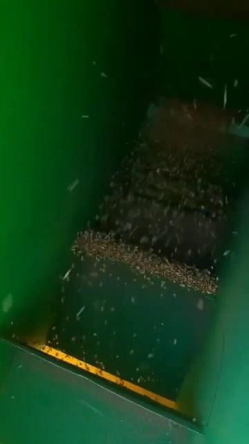 Калибровка пшеницы )