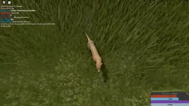 Cenozoic Survival ~ DRIFT
