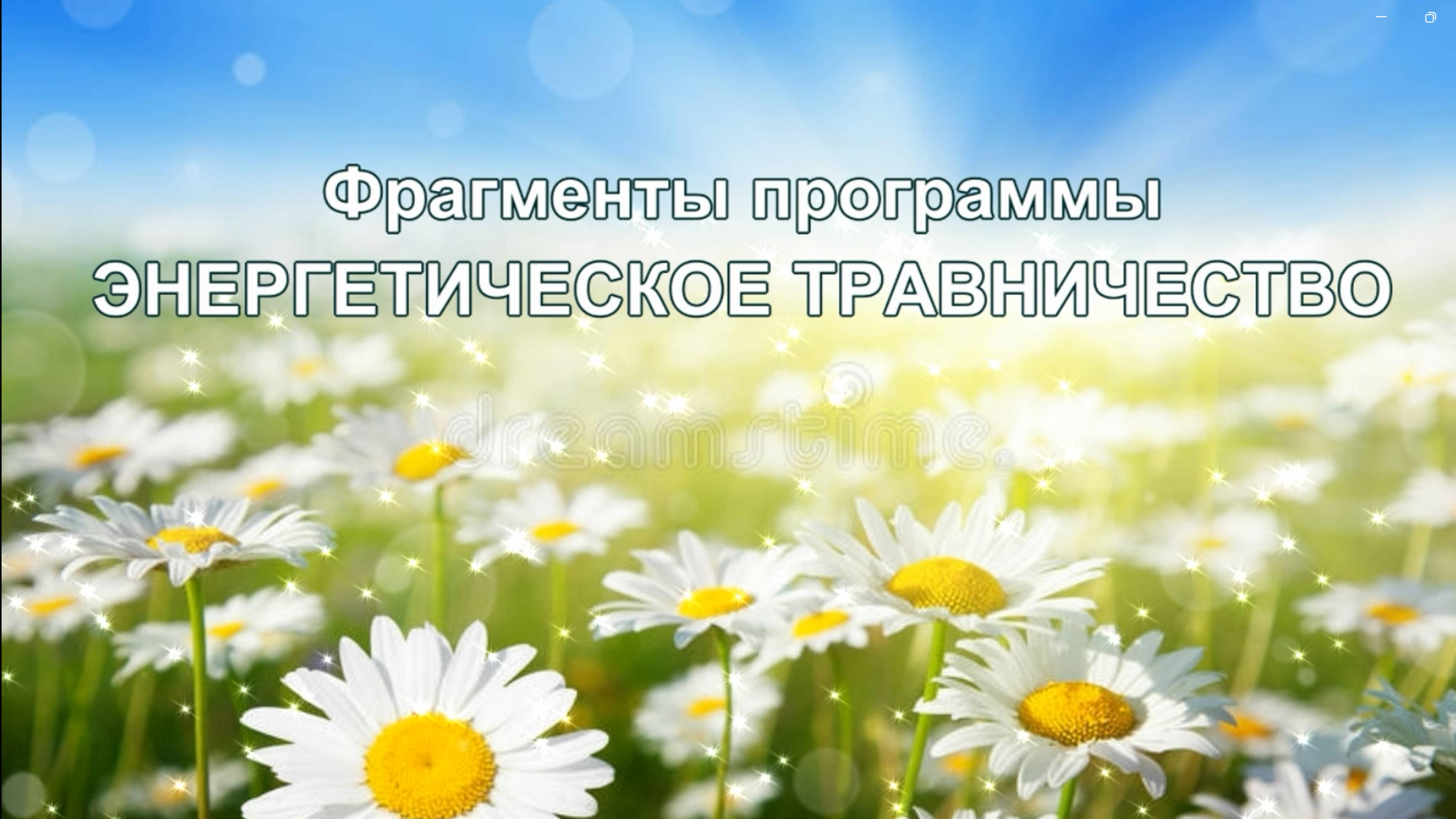 Фрагмент программы Энергетическое травничество