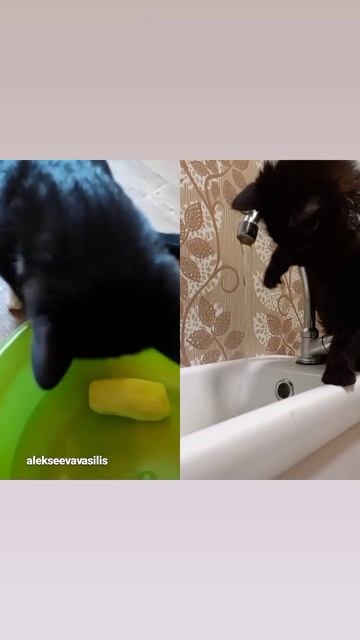 Умывания