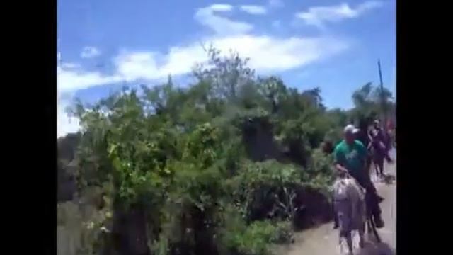 Rancho Pinto 25 03 2017 playa video