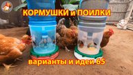 Кормушки и поилки для кур своими руками 65 🪚✂️ Пошаговая инструкция как сделать 🐔 🐓❣️