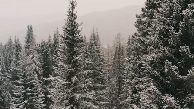 Зимнее настроение