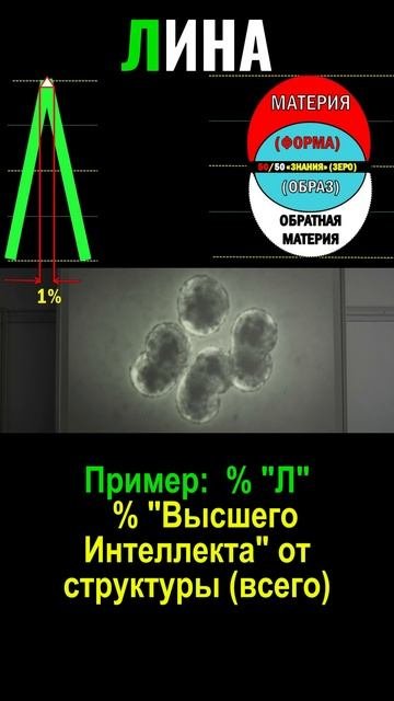 Код образа буквы Л (5%)