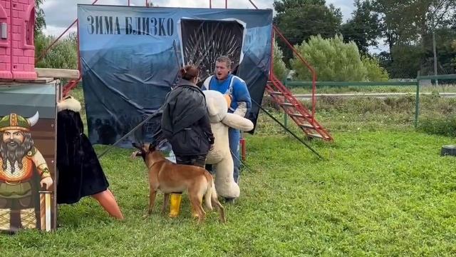 Охрана хозяина, мондьоринг -3, малинуа Кайман