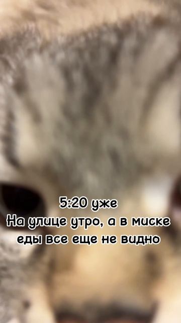 5:20 уже, на улице утро