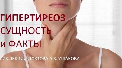Гипертиреоз Сущность и Факты. Из лекции доктора А.В. Ушакова