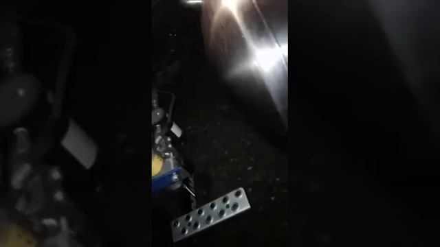 Video Purga 19 10 19 GNL Andreu