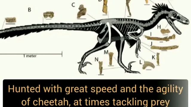 Tops science news of the week | Science news | Weekly report | Knowverse