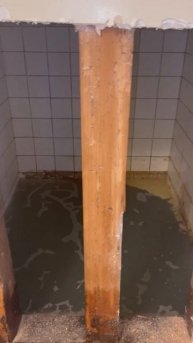 Посмеемся (150)