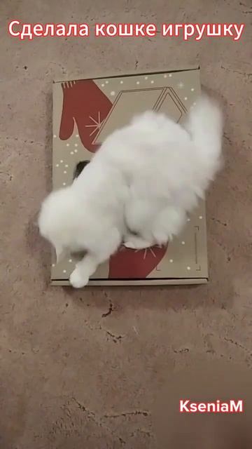 Игрушка для кошки своими руками