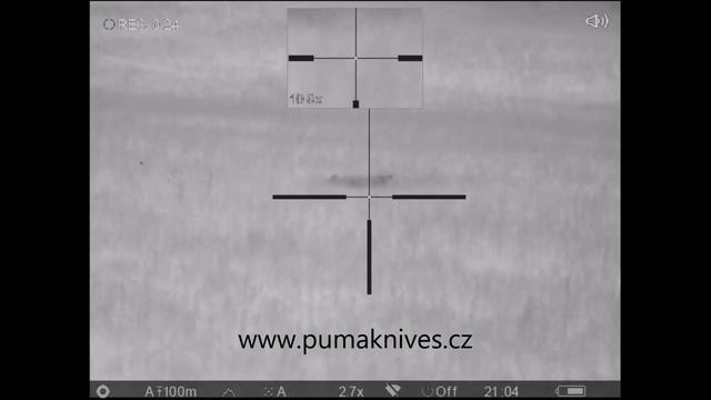 PULSAR Trail XQ50  2x lov divočáka -  Night thermal wild boar hunting - Sau Jagd - Охота на кабана