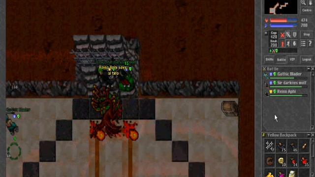 Aphi in banshe quest tibia :D