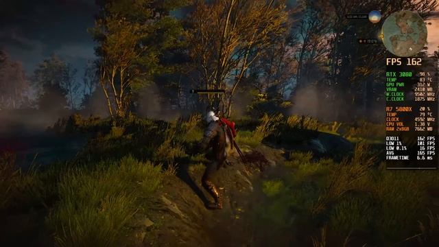 The Witcher 3 | RTX 3080 + Ryzen 5800X - 1080p Ultra Settings