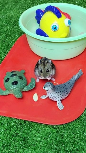 Ой, как вкусно. хомяк. 4k #шорты