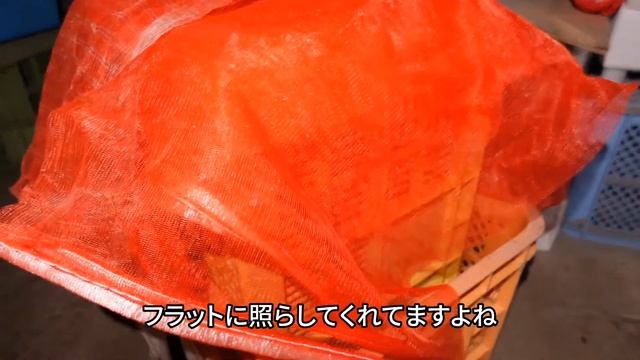 2021年注目すべき超高演色ヘッドライト  ACEBEAM H60をレビュー