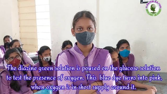 Anaerobic Respiration Experiment  ||  Questions on anaerobic respiration experiment  ||  Respiratio