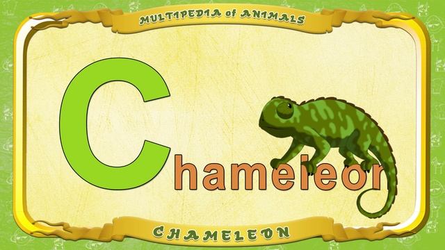 Multipedia of Animals. Letter  C - Chameleon