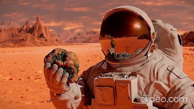 Фантастика. Гарри Гаррисон "Специалист по контактам"