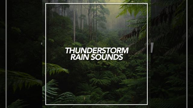 Young Spring & Distant Thunder