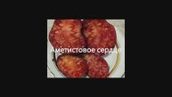 Каталог томатов 2024 г. Часть 9. Проверенные сорта. г. Киров