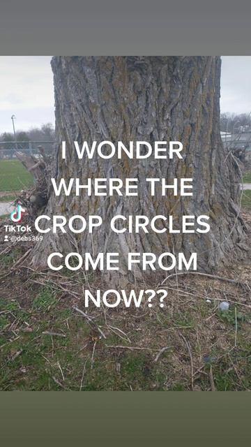 CROP CIRCLES? HAS ANYONE NOTICED ANY?