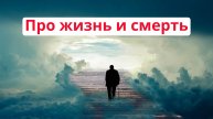 Про Жизнь и Смерть | IC.Consulting