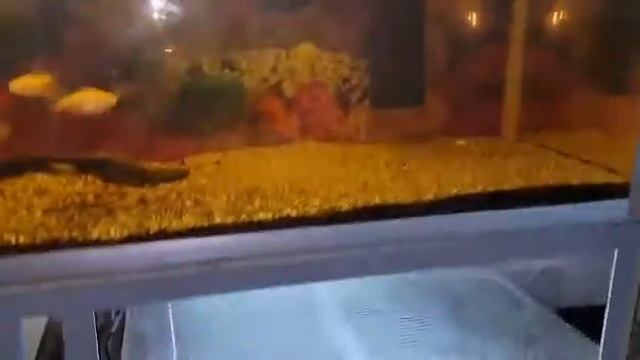 Аквариум 400 литров