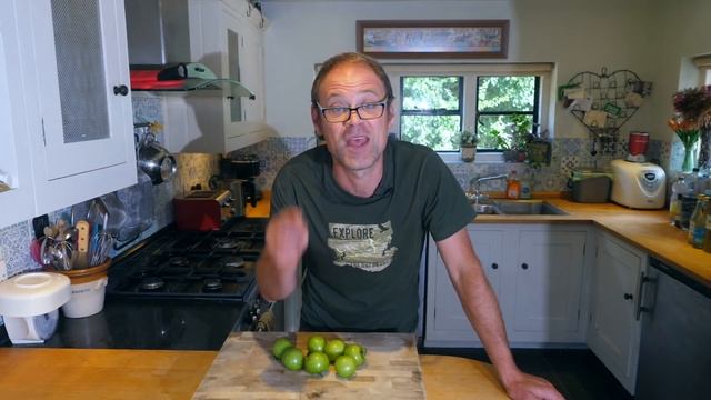 What to do with Green Tomatoes