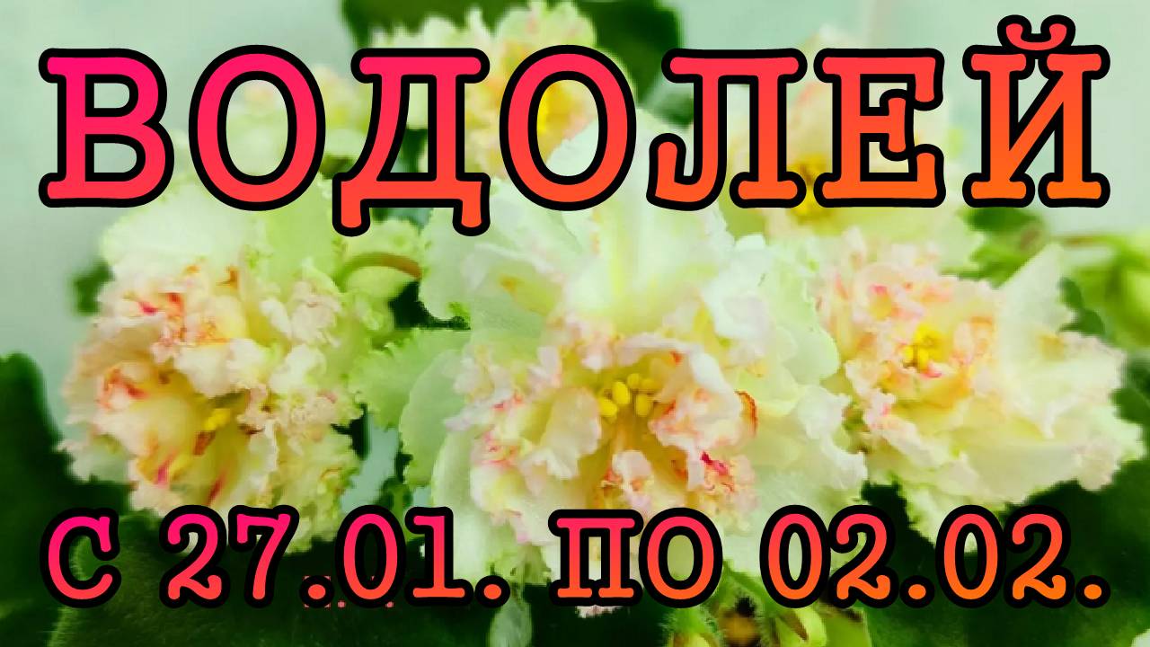 ВОДОЛЕЙ таро прогноз на неделю с 27 ЯНВАРЯ по 2 ФЕВРАЛЯ 2025 года.