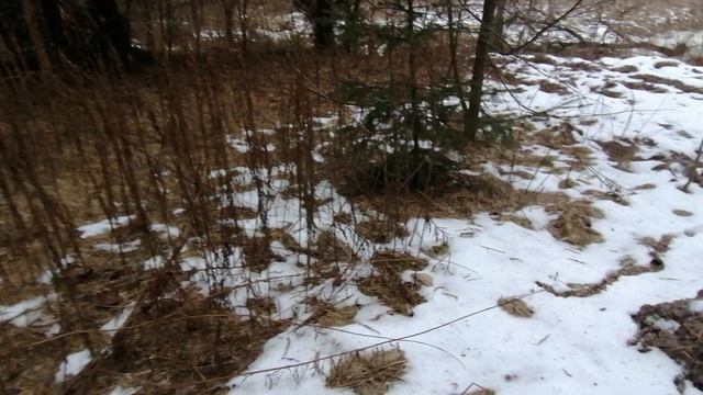 25.01.2025.Обзор с места  свалок в Ляховском лесу. Река Востец.Тюбинговая трасса Домодедово. Часть 6