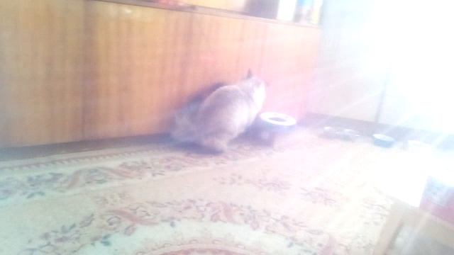 VID_202508