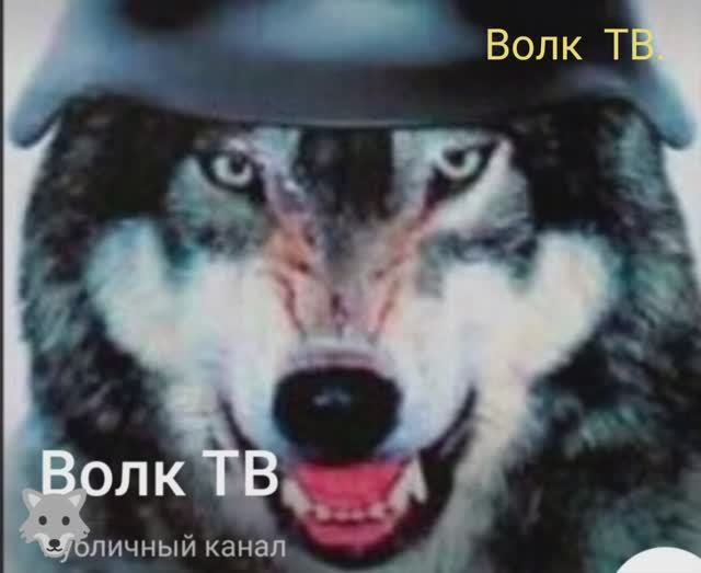 Ночью в лесу!!!! Сталкеры удачи-73.