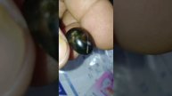 Cambodia green serendibite, painite& grey jasper