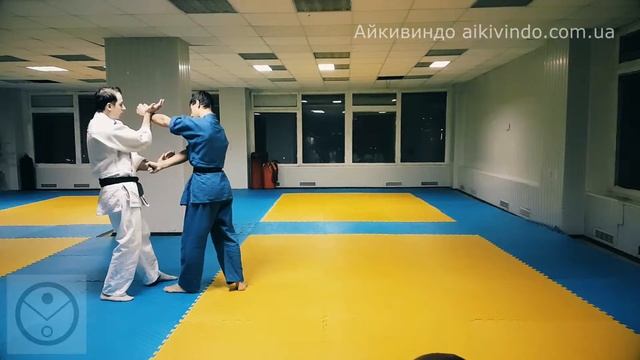 Double punch in Aikivindo.