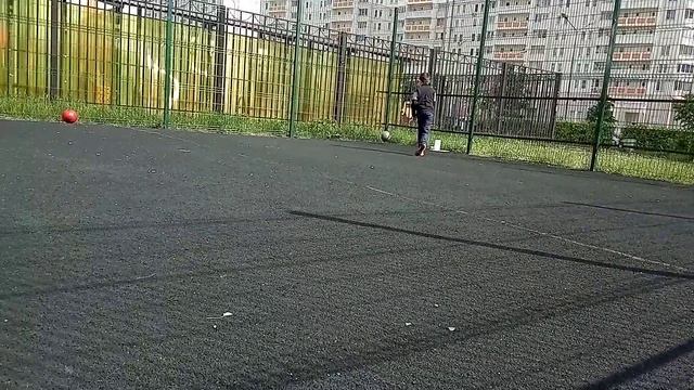 ОТ ВОРОТ ДО ВОРОТ В ОДНО КАСАНИЕ